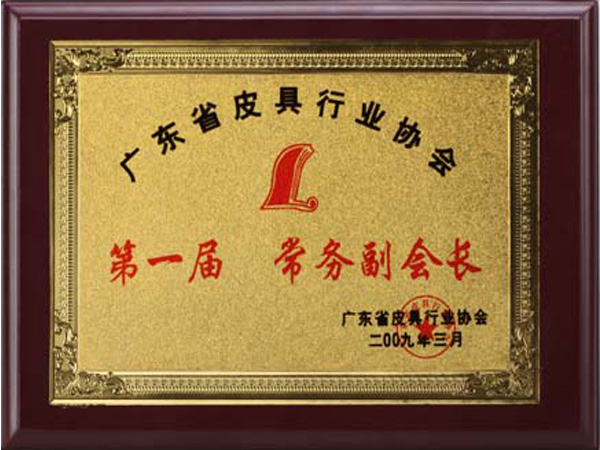 黄片91榮譽：廣東省皮具行業協會（huì）常務副會（huì）長